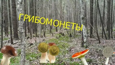 Песнь грибы