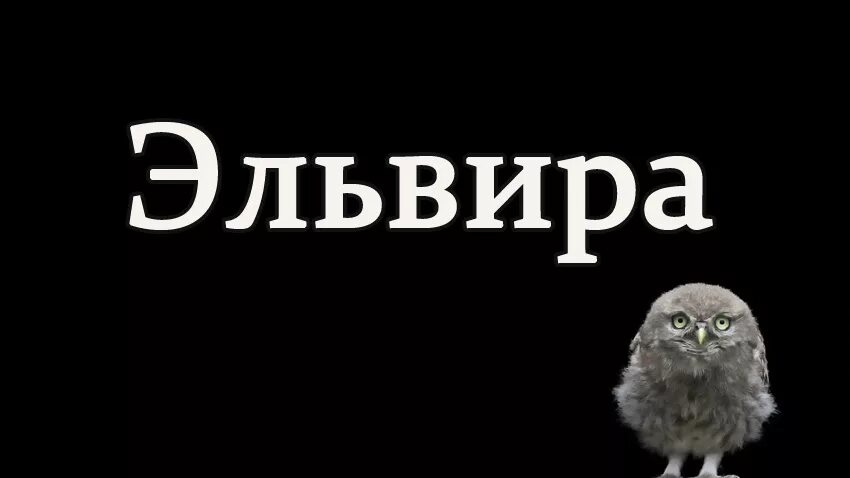 Имя ильвира. Имя ильвира. Имя ильвира. Имя ильвира. Ильвир значение имени.