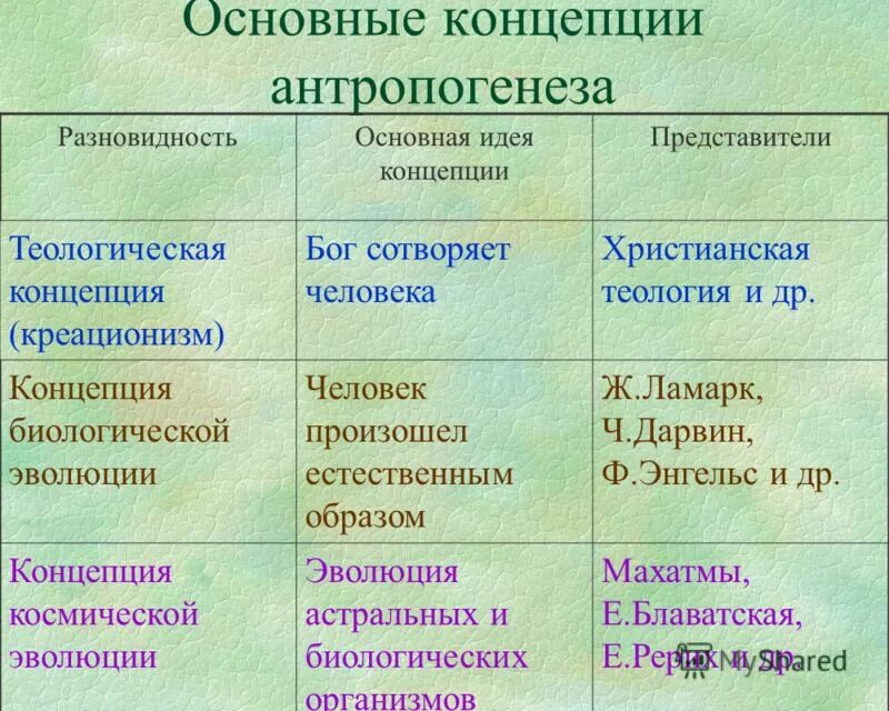 Проблема антропогенеза. Концепции антропогенеза. основные концепции антропогенеза. основные теории антропогенеза. освны етеории антропогенеза.