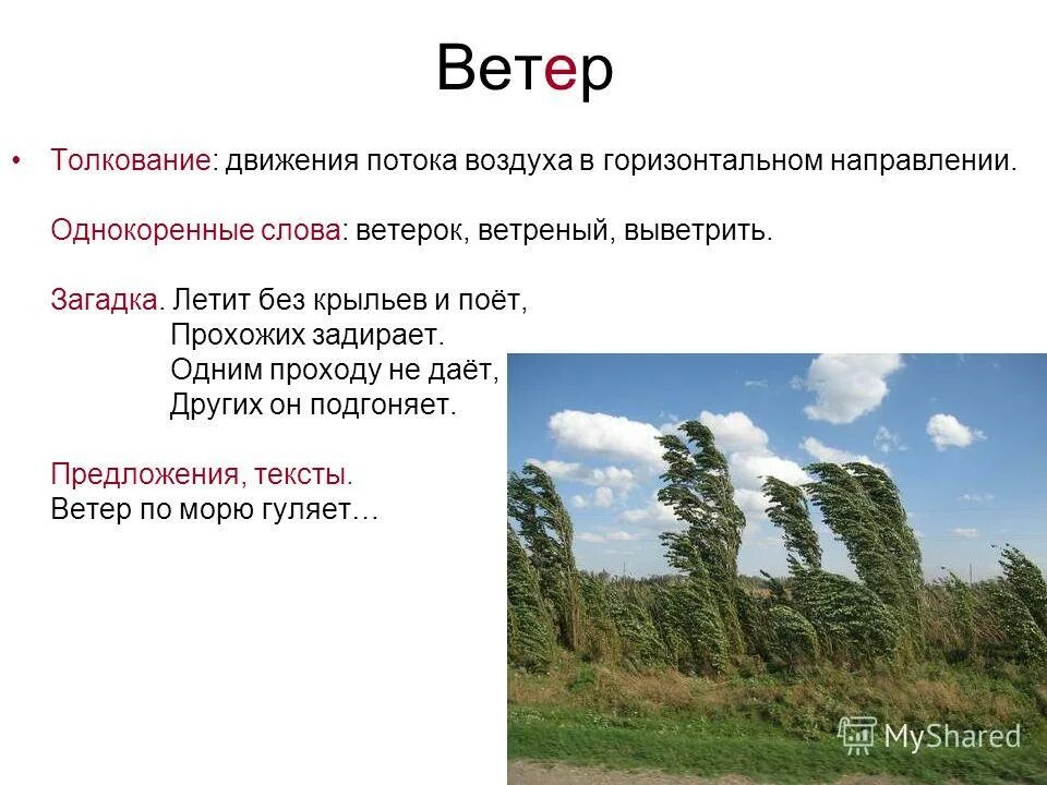 Ветер ветерок однокоренные слова. Слова ветра. Загадки про ветер. Ветер однокоренные слова.