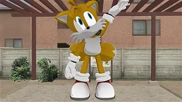 Tails the giant fox