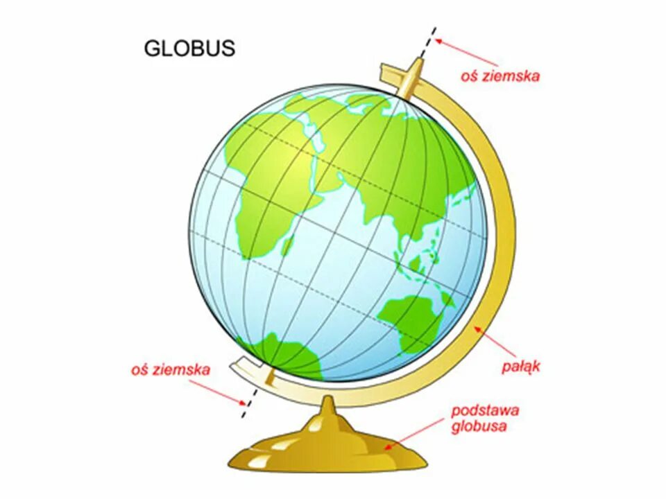 Глобус. Глобус схема. Части глобуса. Части глобуса названия. Глобус проверка