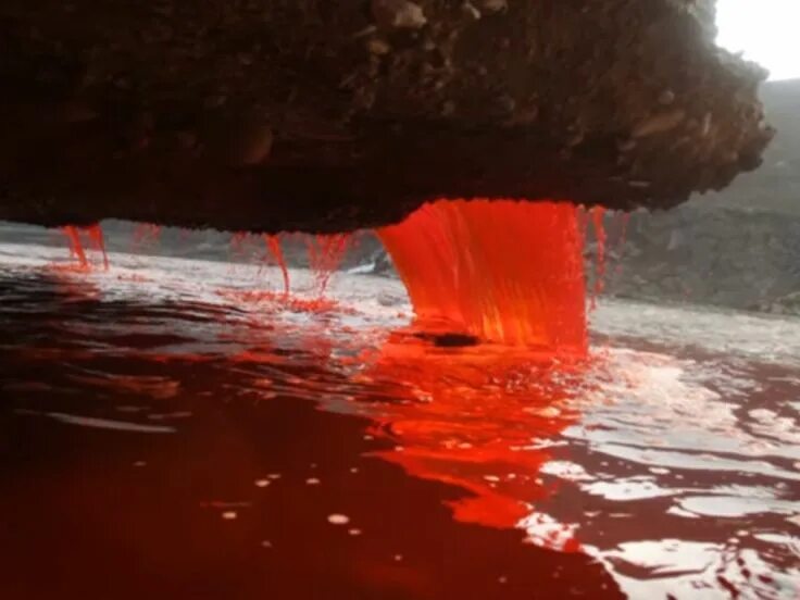 Кровавый водопад в Антарктиде. Кровавый водопад (Blood Falls), Антарктида. Ледник Тейлора Кровавый водопад. Кровавая река в Антарктиде.