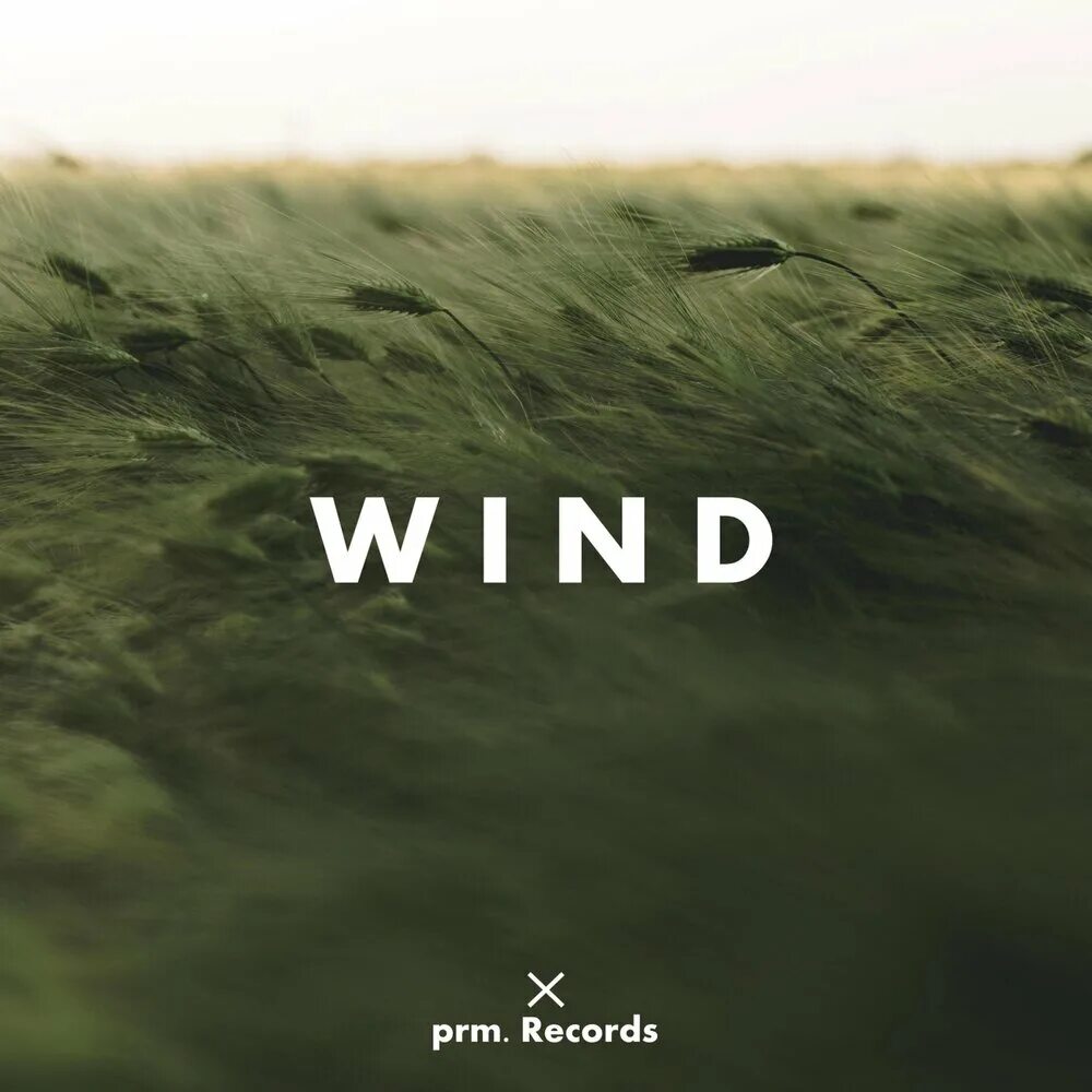 Песня ветер мп3. Wind PRM. PRM Wind Single. Wind PRM Ноты. Wind PRM Notes.