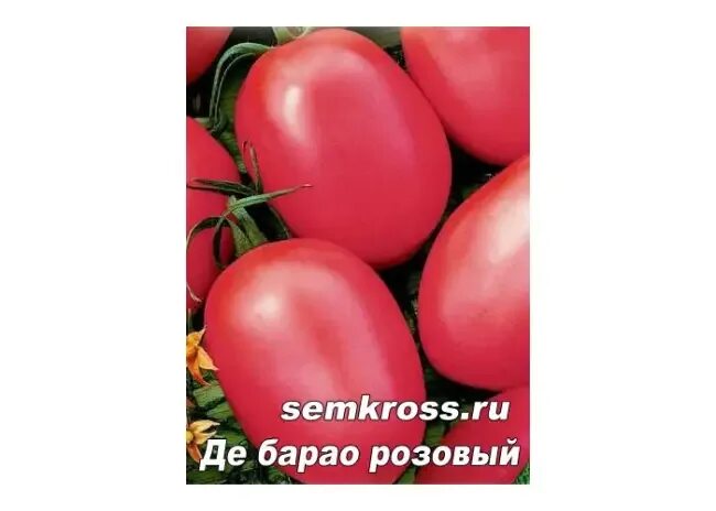 Помидоры Иль де Барао. Томат де Барао розовый. Де Барао розовый СЕДЕК.