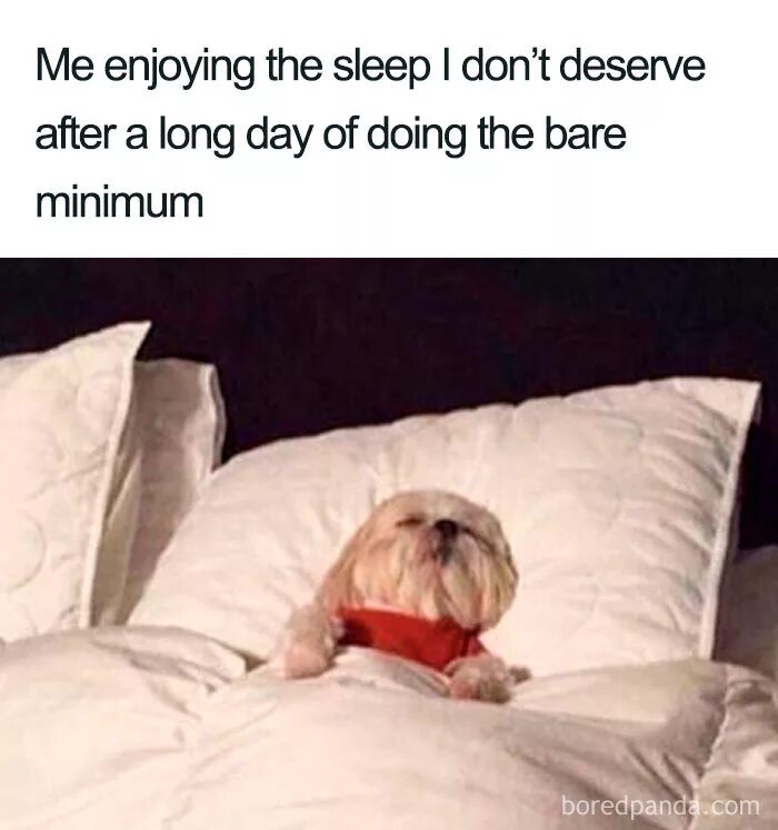 Мем в кровати. Memes about Sleep. GD memes.