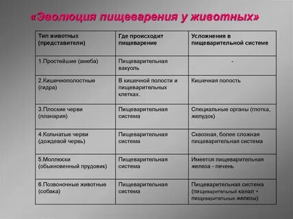 Орган сравнения