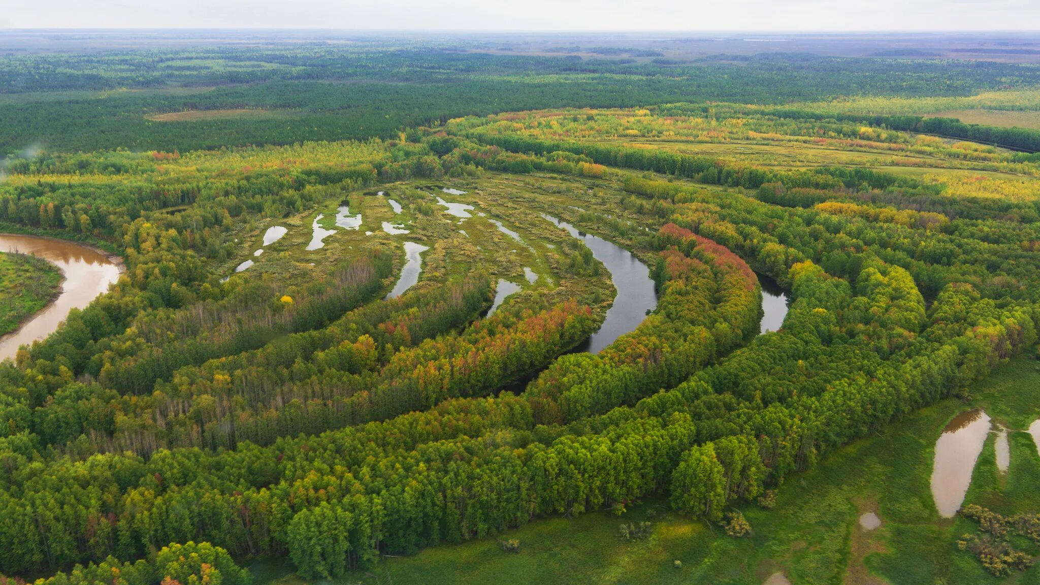 Западно Сибирская Ровнина. Западная Сибирь река Васюган. Низменности Западно сибирской равнины. Западно Сибирская равнина Новосибирск. Низина леса