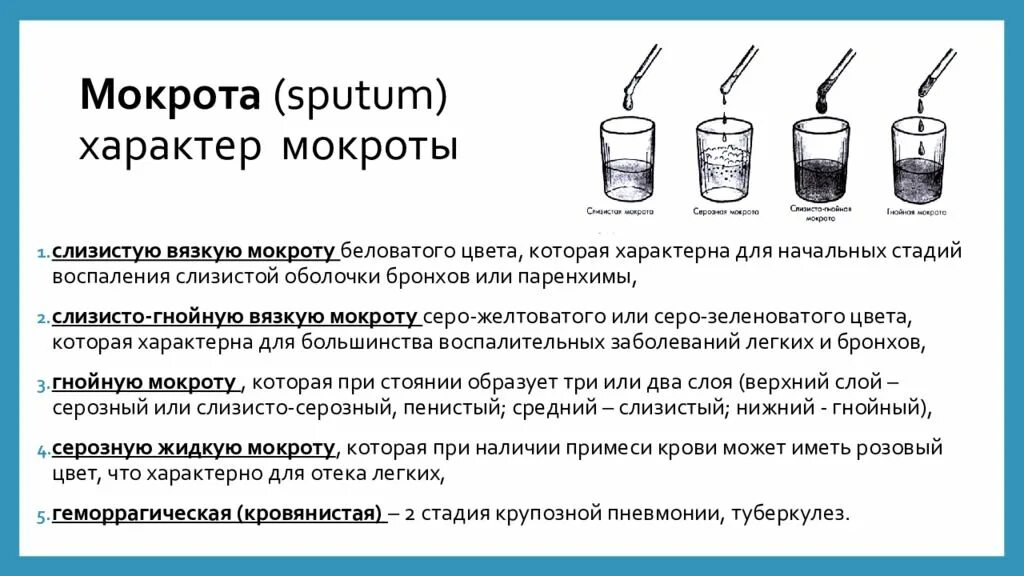 Образование мокроты. Характер мокроты. Характер слизистой мокроты.