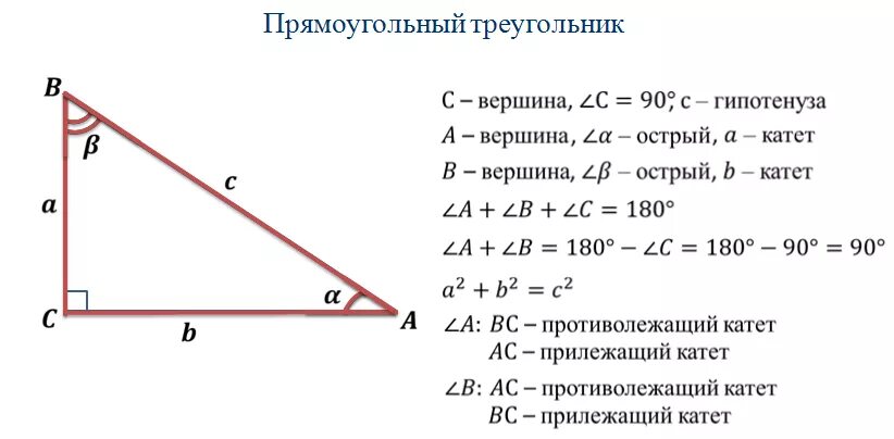 Треугольник косинус прямоугольный треугольник 30 градусов. Геометрия 9 класс косинус острого угла. Синус косинус тангенс прямоугольного треугольника 8 класс. Тригонометрические функции в прямоугольном треугольнике. Тригонометрические функции в прямоугольном треугольнике 8 класс