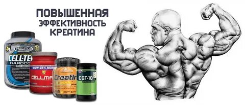 Креатин польза и вред