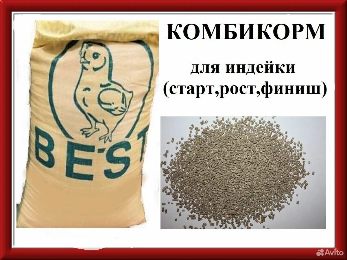 Комбикорм старт для цыплят-бройлеров. Пурина старт для бройлеров 40кг. Лучший комбикорм для бройлеров. Лучший комбикорм для бройлеров. Комбикорм "финишер" для бройлеров purina профи 25 кг.