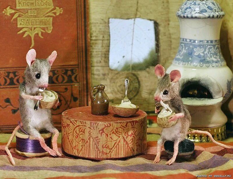 Крысы в доме. Maggie rudy мышки. Дом мышки. Маленькие мыши. Дом мышки.