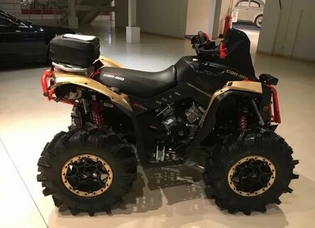 Brp renegade 1000