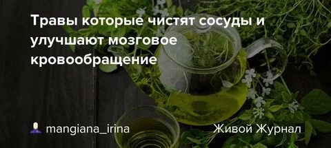 Трава для укрепления стенок сосудов