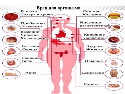 Полезно ли организм для женщин