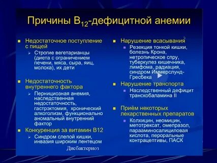 Нетропическая спру это