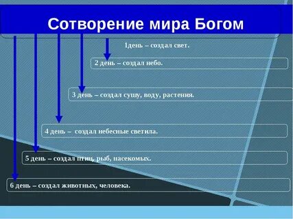 7 дней схема