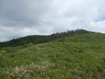 Где безымянная