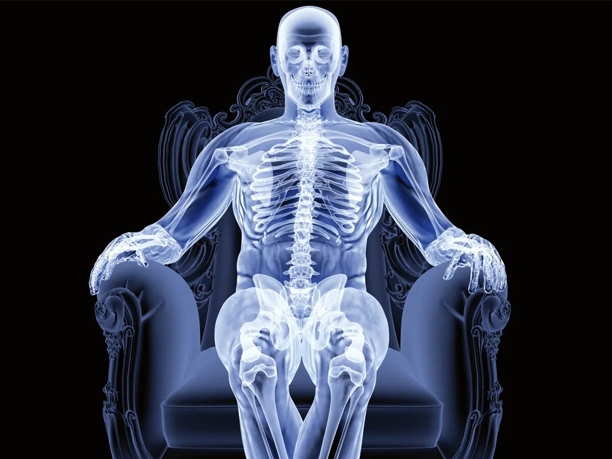 Поды человека. Рентген человека. Рентген тела. Прозрачный человек. Рентген скелета человека.