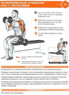 Тренировка мышц рук и ног