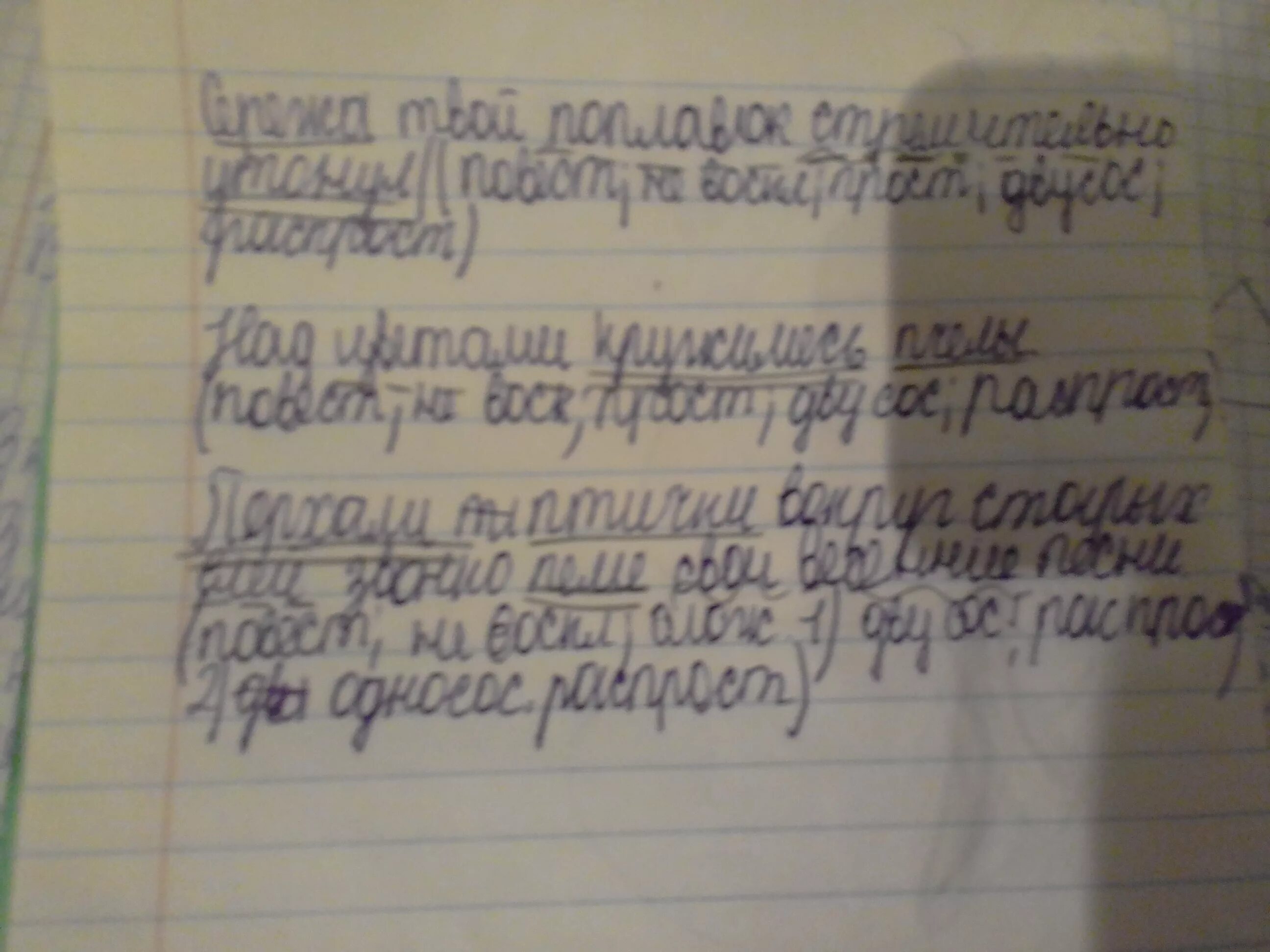 Разбор предложения шмели гудят мед цветов собирают. Над цветами кружатся золотые пчёлы разбор предложения. Синтаксический разбор предложения.пчелы. Синтаксический разбор поплавок. Над цветами кружились пчелы синтаксический разбор.