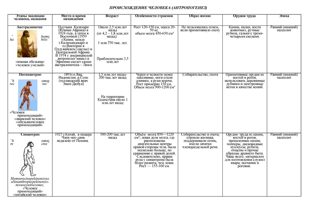 Эволюция человека таблица по биологии 11 класс. Этапы эволюции человека таблица 9 класс биология. Этапы эволюции человека таблица 8 класс биология предки человека. Стадии эволюции человека таблица сравнительная. Этапы антропогенеза биология