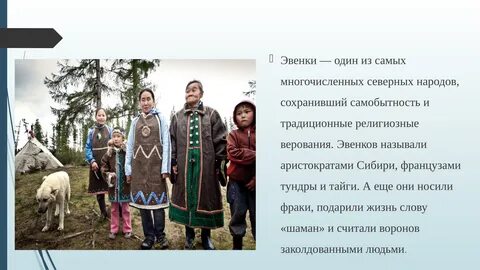 Какого зверя считали хозяином тайги народы нанайцы
