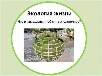 Жила экология