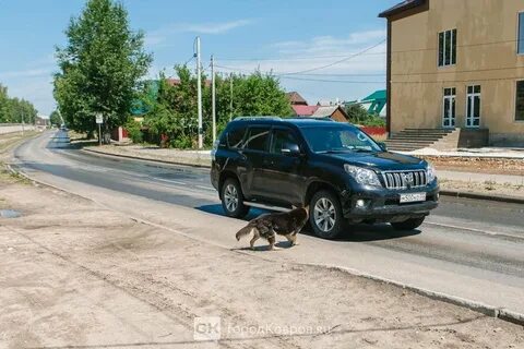 Легенда ковров