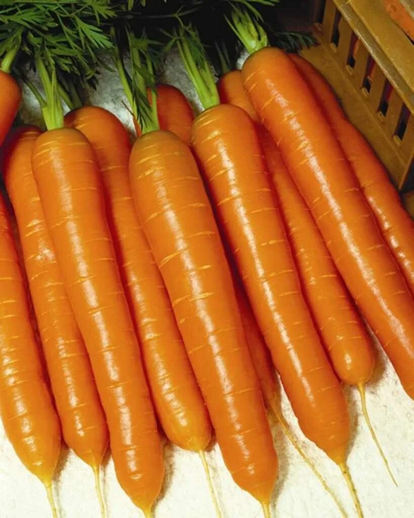 К чему снится морковь свежая. КАРВОРА f1. Морковь Нэля f1. Морковь Тинга f1. Морковь корона f1.