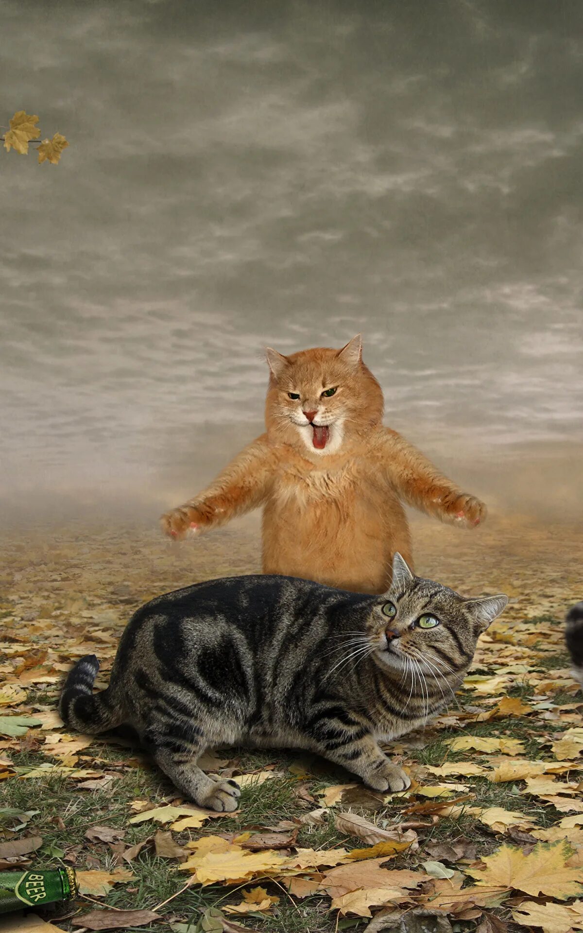 Зовущие крики кошек