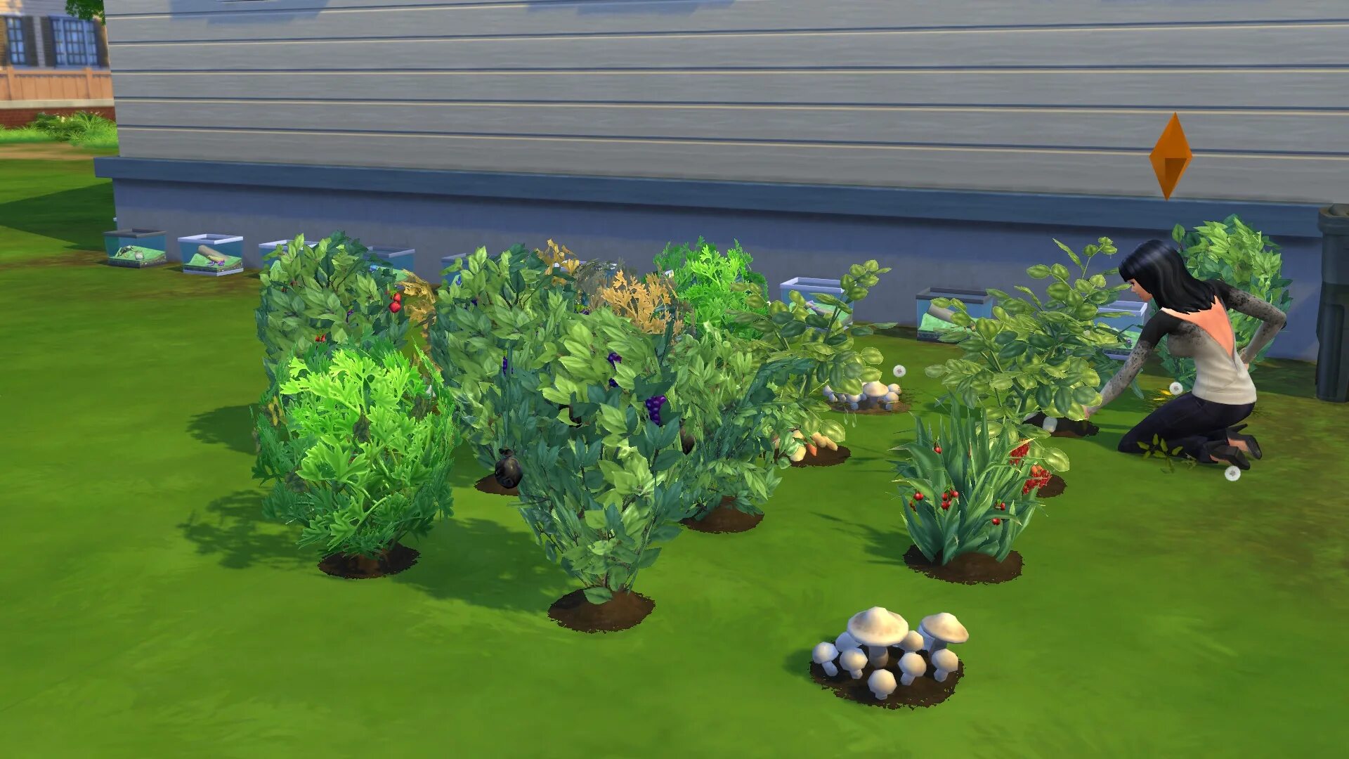 как сделать скрин в симс 4