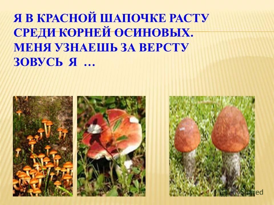 подберезовик проверочное слово. подосиновик проверочное слово. осина корень окончание. загадка про гриб подосиновик. под осиной корень.