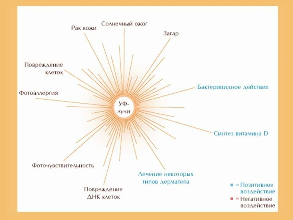 Солнце действие. Воздействие солнечных лучей. Влияние солнечного излучения на кожу. Воздействие солнечных лучей на организм человека. Виды солнечных лучей.