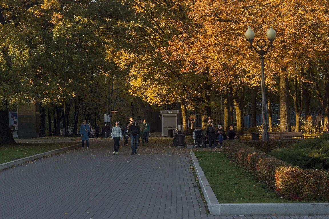 Лесопарк Измайлово. Измайловский парк Москва. Измаильский парк Москва. Измайловский парк Москва фото осенью. Измайловский парк московский просп 2 фото