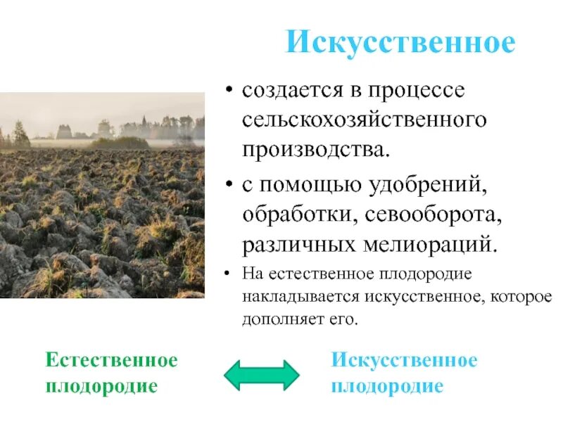 Увеличения естественного плодородия почв. Естественное плодородие. искусственное плодородие. естественное плодородие почвы. искусственное плодородие почвы.