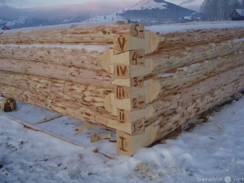 Башкирия срубы домов. Сруб из бурзянской сосны. сруб на баню башкирия. бурзянский брус. сруб бурзян.