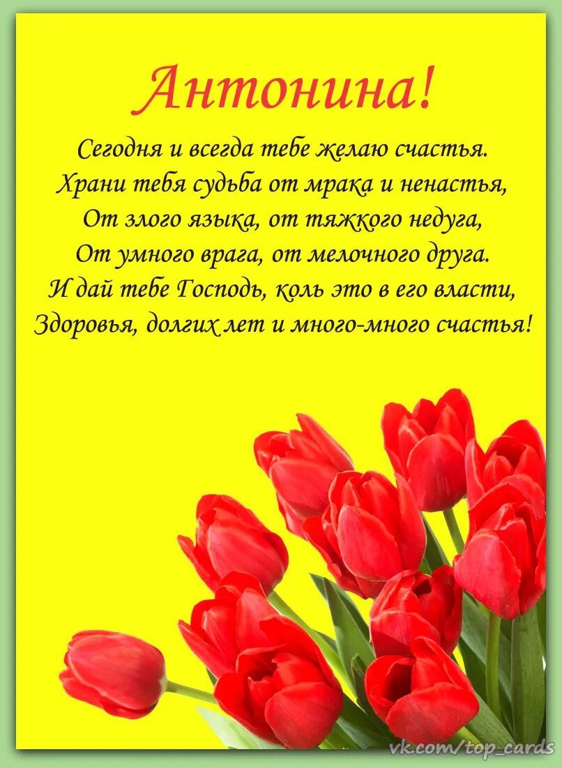 Пожелания с днем рождения антонине. Поздравления с днём рождения. С днёмрожденияантонина. С днём рождения Тоня.