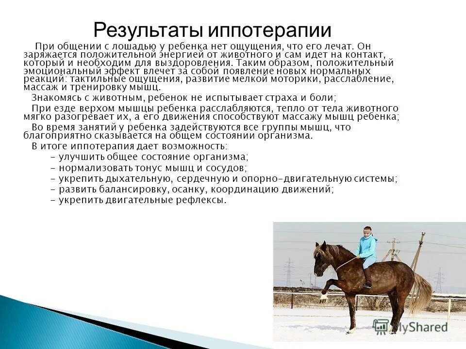 влияние лошадей на здоровье человека. дамская верховая езда. пользу от общения с лошадьми. верховая езда польза. интересные факты о лошадях и конном спорте.