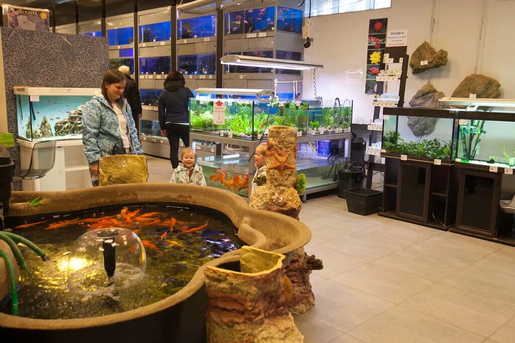 Aquainterio в спб. Аквариумный гипермаркет акваинтерио. Аквариумный магазин водяной. Акваинтерио пр энгельса. Акваинтерио спб.
