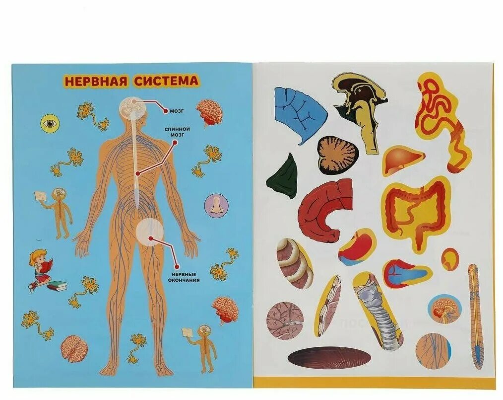 большая книга наклеек. умка книжка с наклейками. большая книга наклеек. большая книга наклеек мир девочек. большая книга с наклейками "домашние животные".