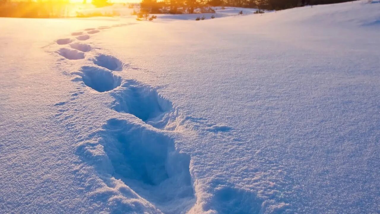 Звук снега. След солнца. Шум снега. Snow Footsteps Sound Effect Walking in Snow Sound Effect.