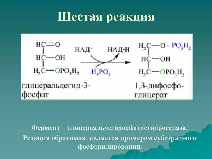 Субстратное фосфорилирование биохимия реакция. Субстратное фосфорилирование в гликолизе. Реакции субстратного фосфорилирования в гликолизе. Реакция фосфорилирования Глюкозы.