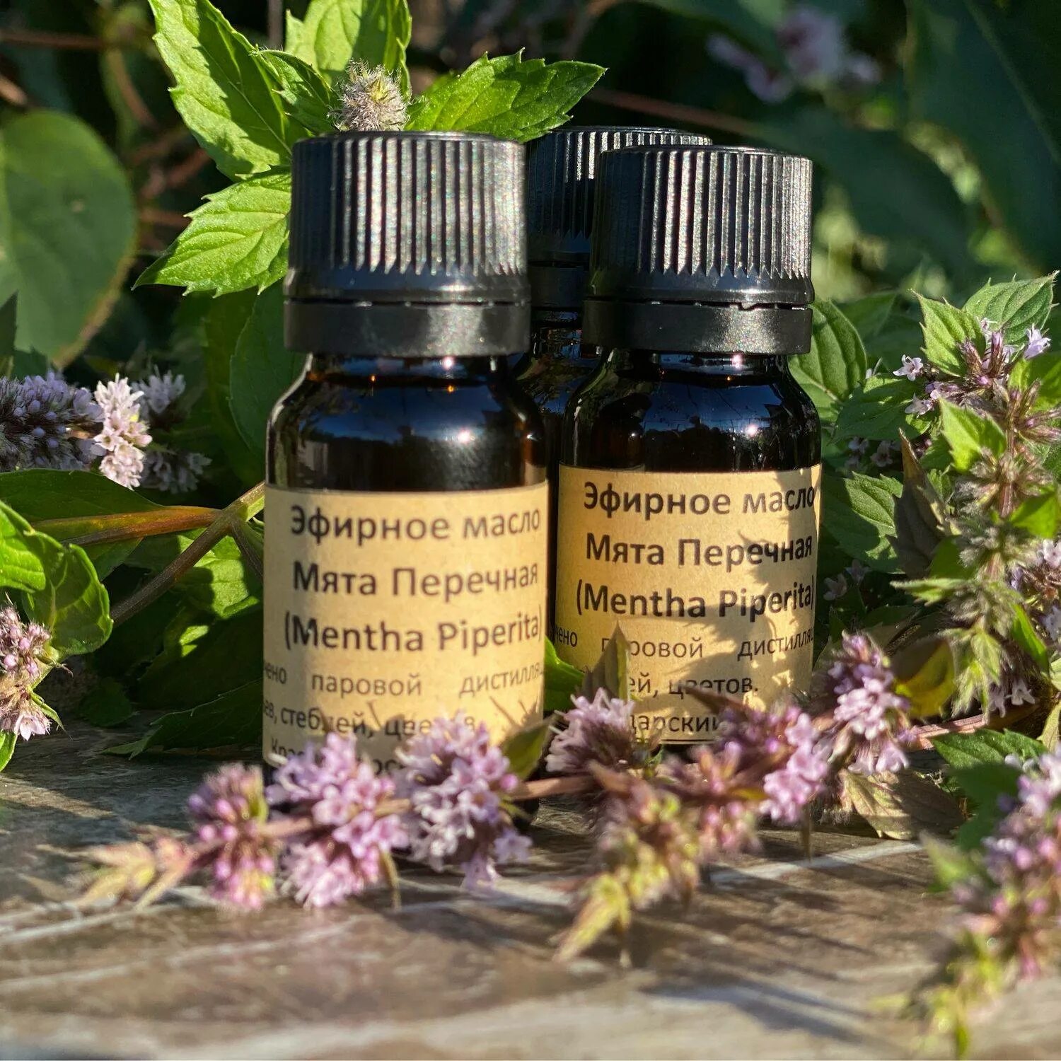 Как использовать масло мяты. Эфирное масло мяты перечной. Ароматика эфирное масло мята перечная. Мятное эфирное масло. Мятное масло.