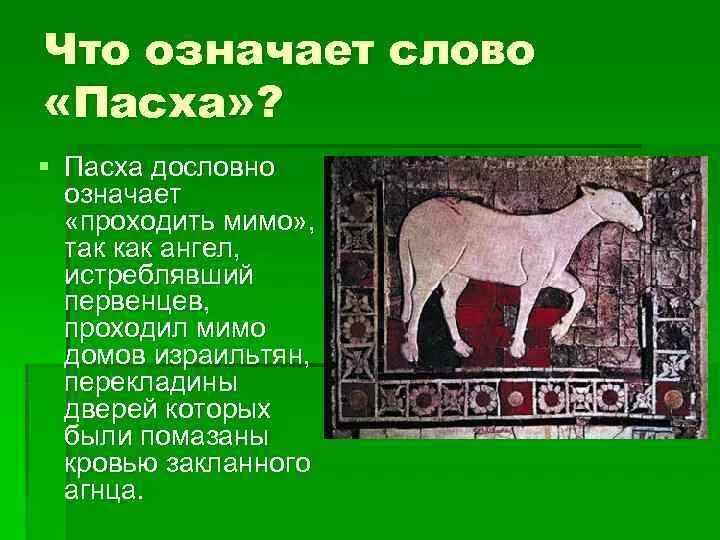 Что значит слово сить. Что означает слово Пасха. Что означает слово дословно. Дословно это что означает. Значение слова Агнец.