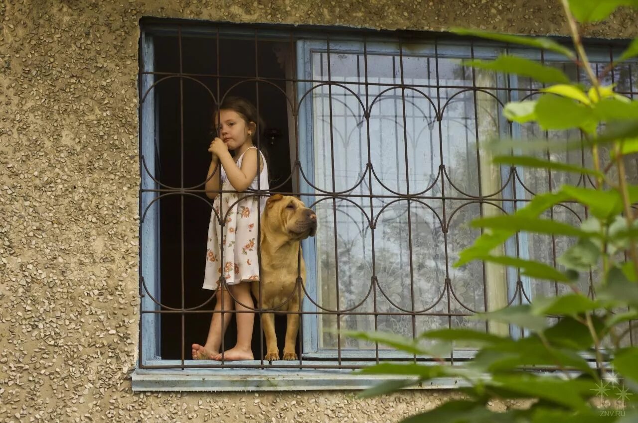 В солнцево девушка сбила троих детей. Валерия башкирова отец. Сына астахова арестовали. Студентка валерия башкирова сбившая в солнцево троих детей. Суд валерии башкировой.