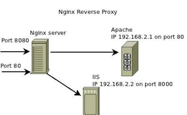 Reverse proxy fails