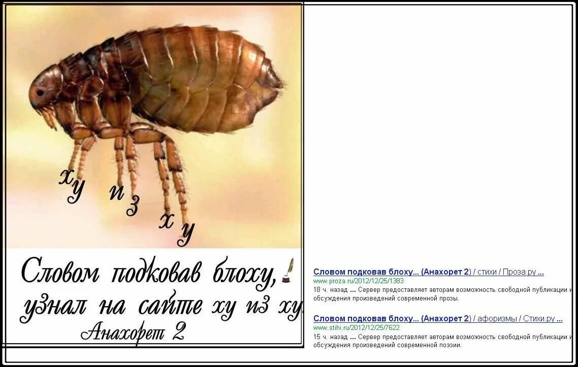 Блоха задание егэ. Блоха. стих про блоху смешной.
