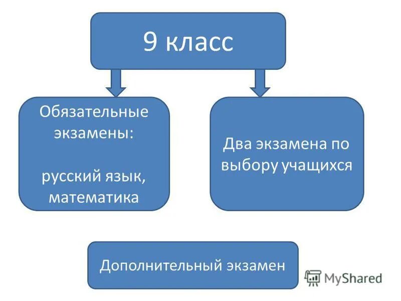 Рустьюторс егэ по русскому языку 11 класс